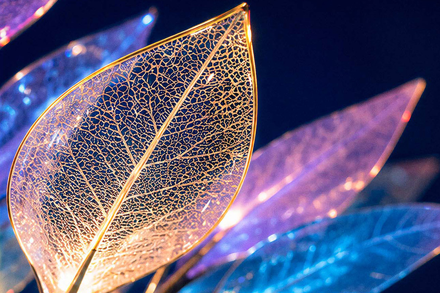 acrylic leaves with light and color acrylic leaves with light and color
