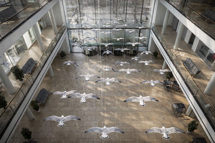 flying birds art feature