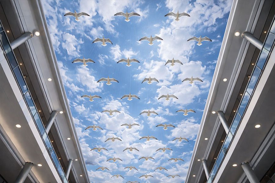sky art with kinetic birds